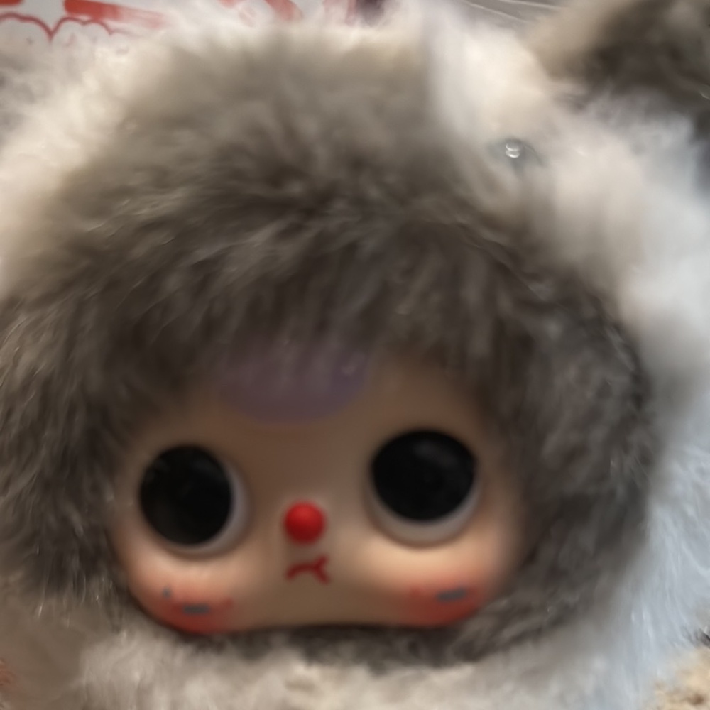 New Cureplaneta | Baby Three Whose Cat Is This Gray and White